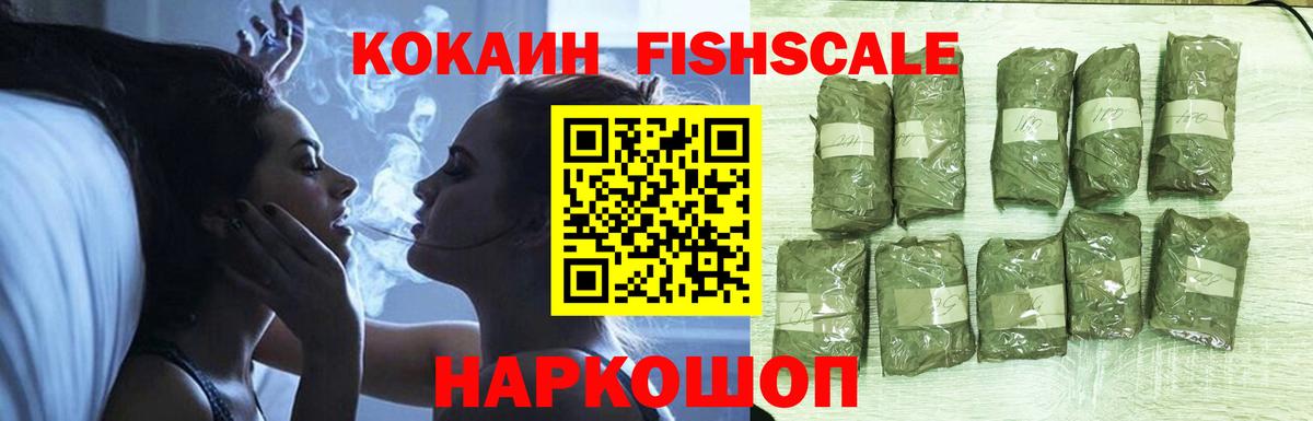 Cocaine Fish Scale  где купить наркоту  Владикавказ  Вход с VPN 