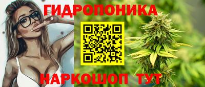 мдпв Жуковский