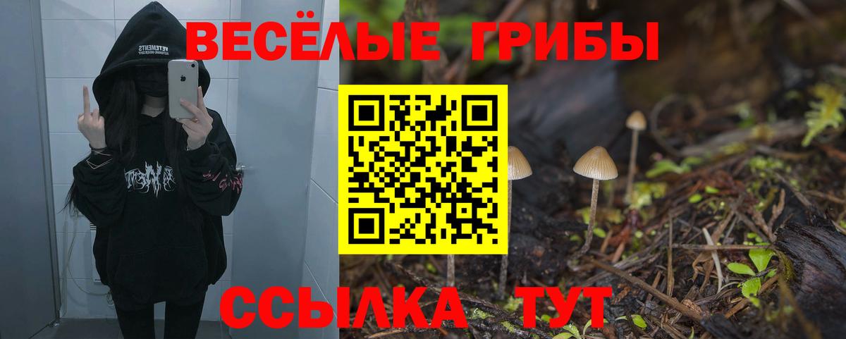 Владикавказ  Псилоцибиновые грибы GOLDEN TEACHER  Вход с VPN 
