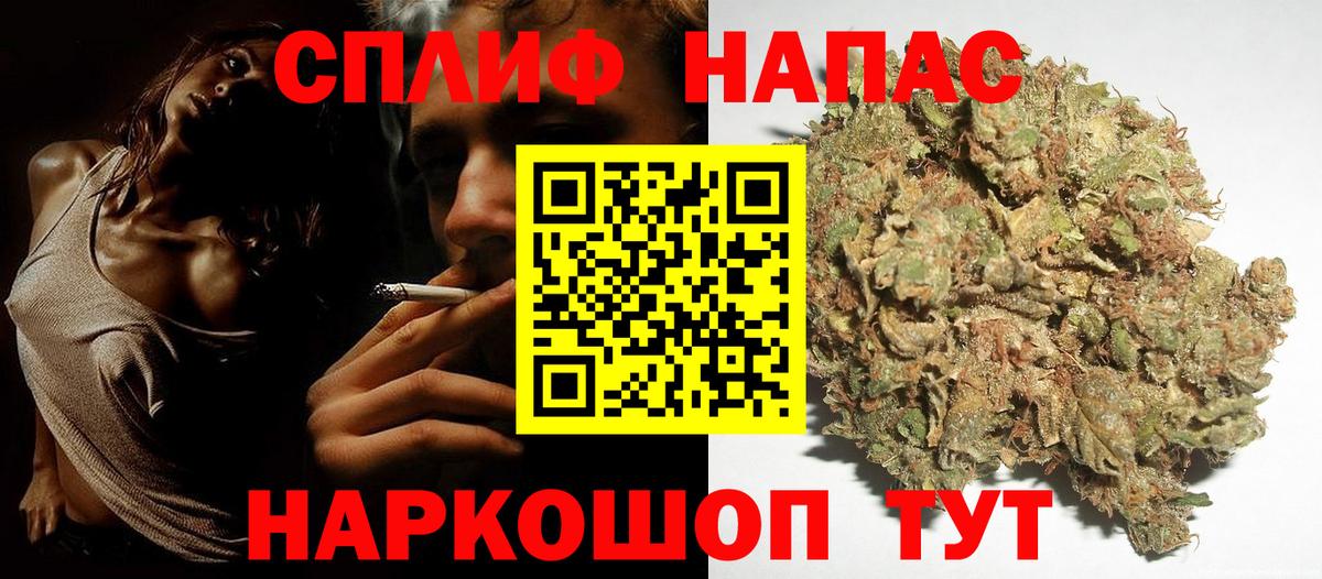 Альфа ПВП Владикавказ